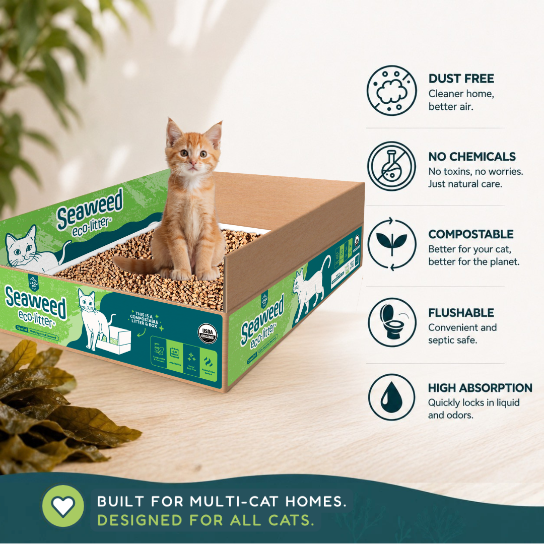 Eco-Litter® Special