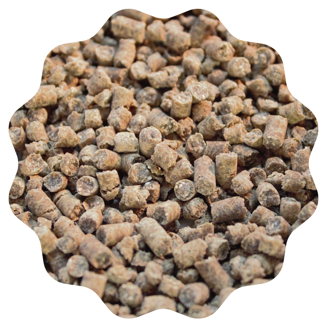 Eco-Litter® Special