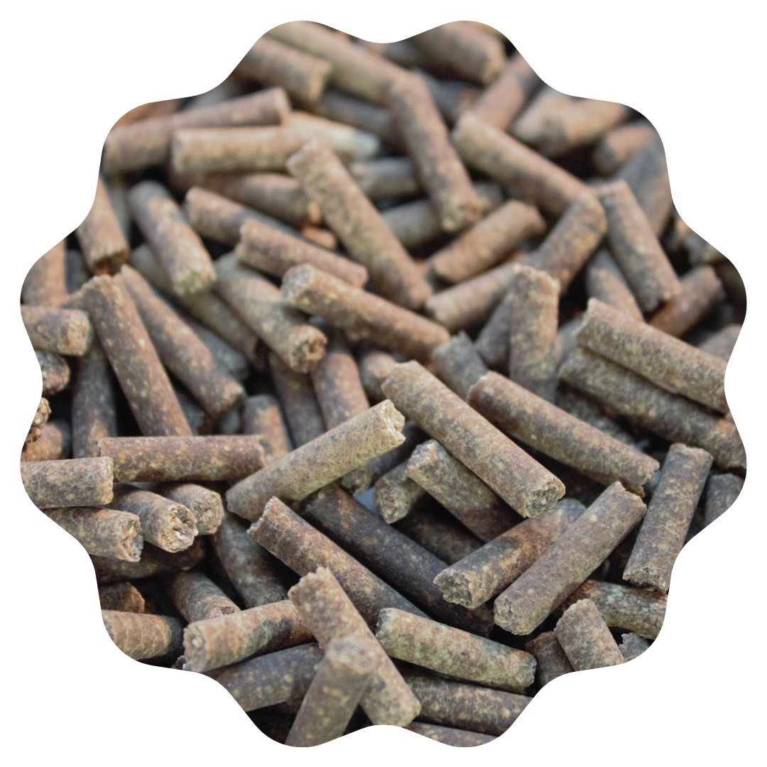 Eco-Litter® Classic