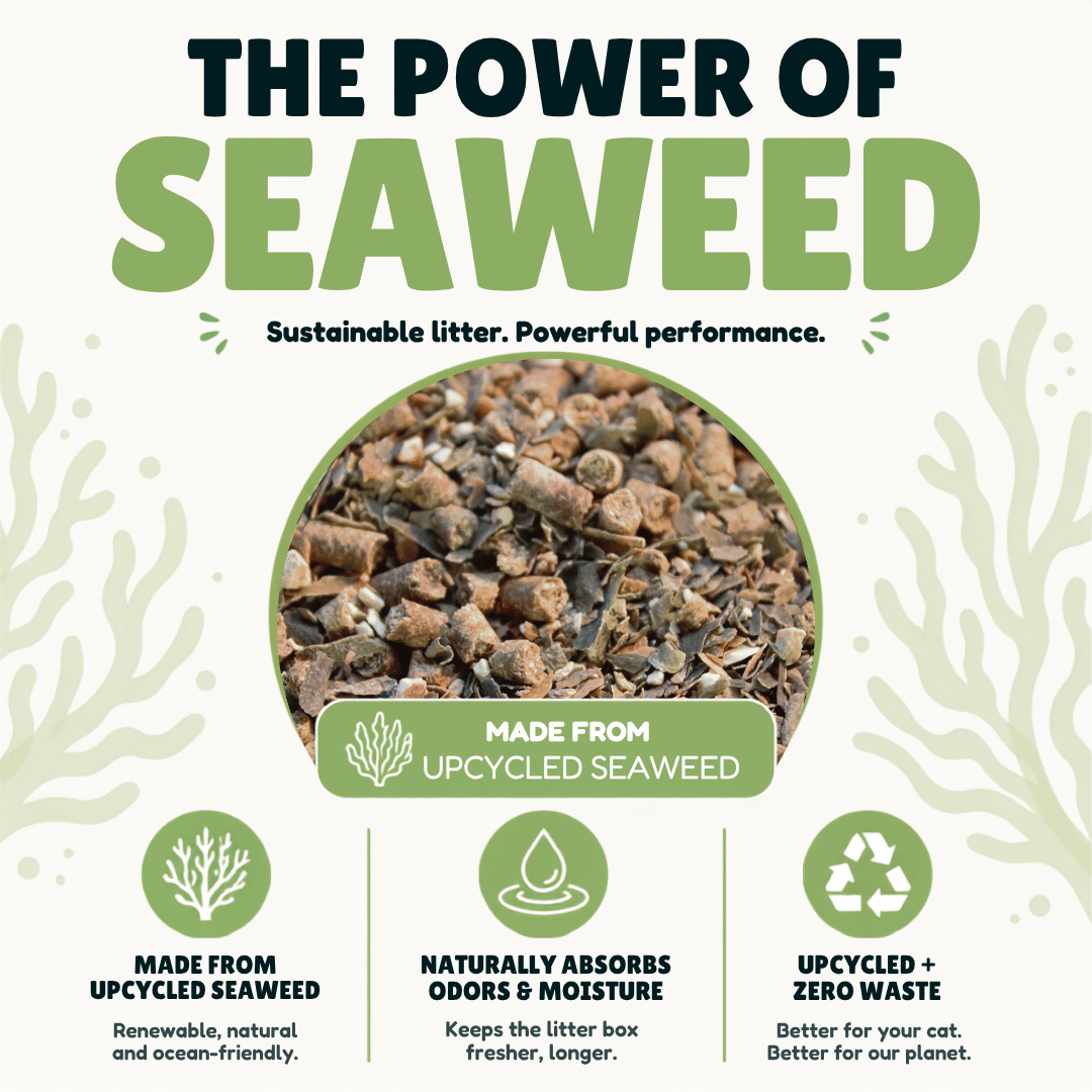 Eco-Litter® Sensitive